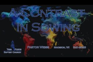 A Contrast In Sowing | Pastor Weiss
