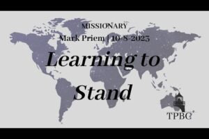 Learning to Stand | Mark Priem