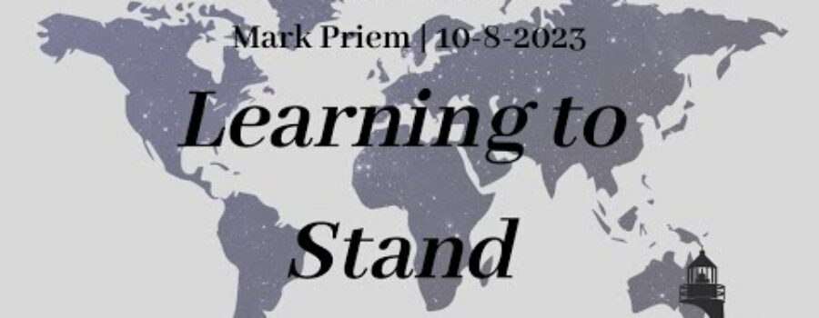 Learning to Stand | Mark Priem