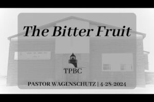 The Bitter Fruit | Pastor Wagenschutz